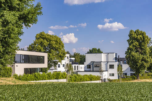 Deutschland, Baden-Württemberg, Ludwigsburg, Grüne Sommerwiese mit modernen Vorstadthäusern im Hintergrund - WDF07330