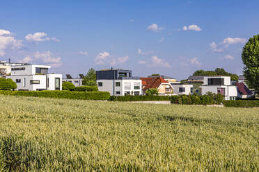 Deutschland, Baden-Württemberg, Ludwigsburg, Grüne Sommerwiese mit modernen Vorstadthäusern im Hintergrund - WDF07331