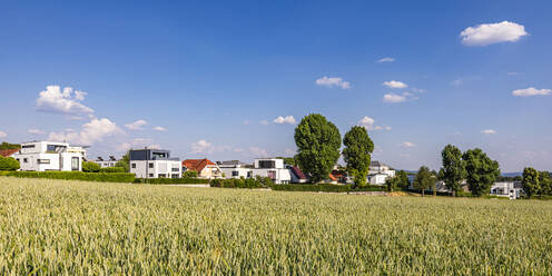 Deutschland, Baden-Württemberg, Ludwigsburg, Grüne Sommerwiese mit modernen Vorstadthäusern im Hintergrund - WDF07332