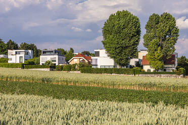 Deutschland, Baden-Württemberg, Ludwigsburg, Grüne Sommerwiese mit modernen Vorstadthäusern im Hintergrund - WDF07333