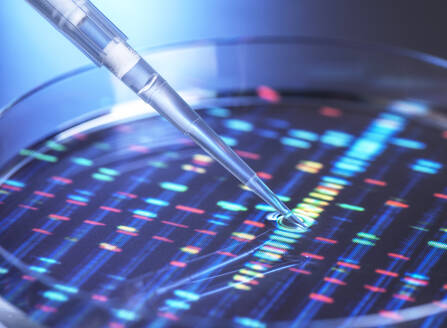 Pipettieren der DNA-Probe in die Petrischale - ABRF01075