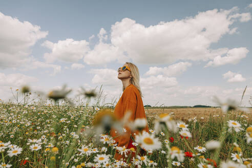 Woman wearing sunglasses standing amidts flowers in chamomile field - VSNF01108