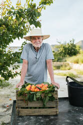 Elderly farmer in hat standing near wooden box with ripe peaches and looking at camera in green garden in summer - ADSF44573