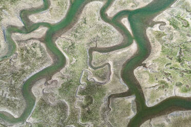 From above drone view of green lush with river estuary on wetlands - ADSF44606