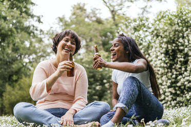 Glückliche Freunde, die zusammen im Park sitzen und Bier genießen - PBTF00005
