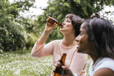 Glückliche Freunde trinken Bier im Park - PBTF00008