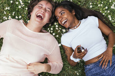 Happy friends having beer lying on grass - PBTF00010