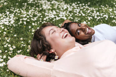 Lächelnde Freunde liegen im Gras und lachen - PBTF00011