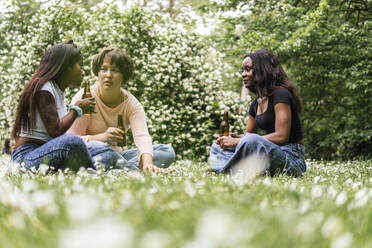 Gemischtrassige Frauen trinken Bier im Park - PBTF00014