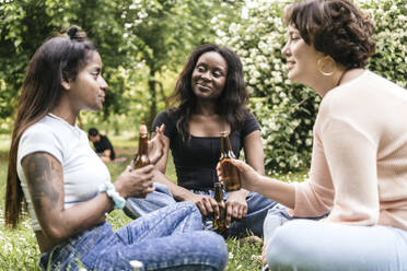 Junge Freunde unterhalten sich und trinken Bier im Park - PBTF00025