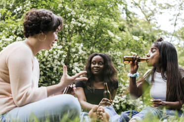 Frau im Gespräch mit Freunden beim Biertrinken im Park - PBTF00028