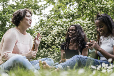 Lächelnde Frauen, die sich im Park unterhalten und Bier trinken - PBTF00029