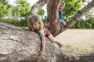 Brother and sister playing on tree trunk at beach - IHF01464