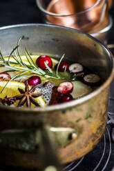 Moscow mule with spices and cranberries in utensil - SBDF04643