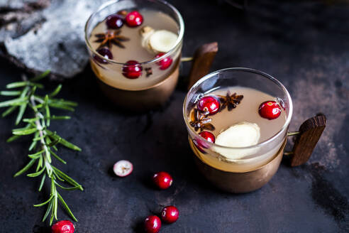 Becher Moscow Mule Drink mit Gewürzen und Preiselbeeren - SBDF04645