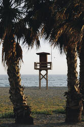 Spain, Andalusia, Granada, Lifeguard Hut on empty beach with palm trees in foreground - MRRF02607