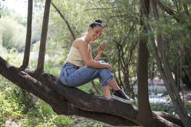 Glückliche Frau mit Smartphone auf einem Baum im Wald sitzend - LMCF00312