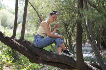 Happy woman using smart phone sitting on tree in forest - LMCF00312