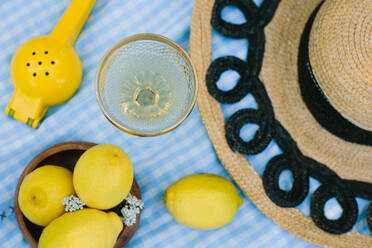 Composition of transparent wineglass placed on blue checkered fabric near ripe yellow lemons and citrus press during picnic - ADSF44696