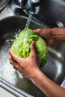 High angle of unrecognizable African American male chef washing fresh green iceberg salad in metal sink with water while cooking healthy salad in kitchen - ADSF44890