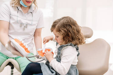 Female orthodontist teaching girl patient with toothbrush to brush teeth on jaw model in dental clinic - ADSF44922