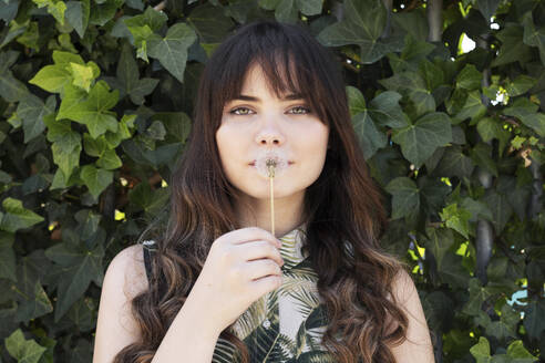 Young woman holding dandelion flower over mouth - LMCF00356