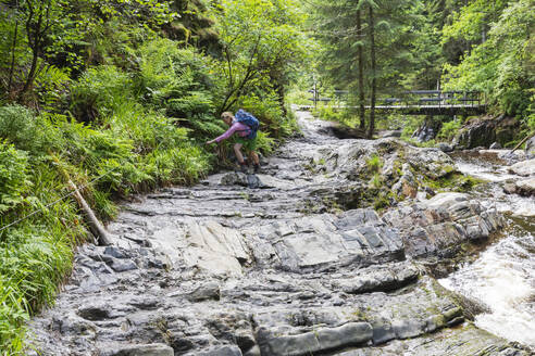 Frau wandert auf Felsen inmitten von Bäumen im Wald - GWF07860