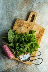 Fresh organic mint leaves ready for cooking on the kitchen table - ADSF45005