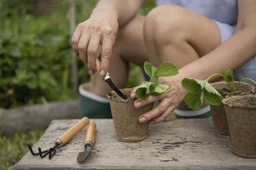 Ältere Frau bei der Gartenarbeit mit Werkzeugen im Garten - LESF00350