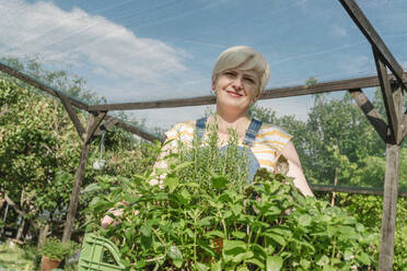 Smiling farmer standing in greenhouse - OSF01838