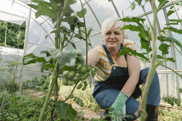 Farmer examining plants in greenhouse - OSF01842