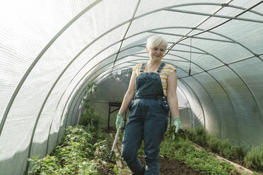 Smiling farmer holding gardening equipment in greenhouse - OSF01849