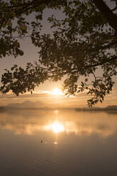 Beautiful view at lake Wallersee in austria at sunset - ADSF45170