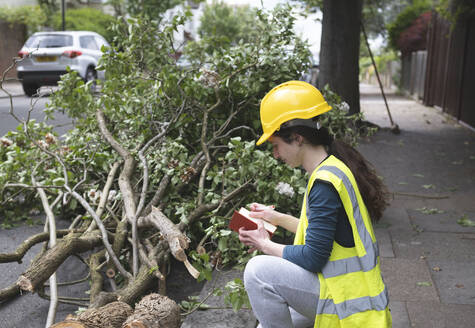 Arbeiter hockt in der Nähe eines umgestürzten Baumes auf dem Gehweg - AMWF01521