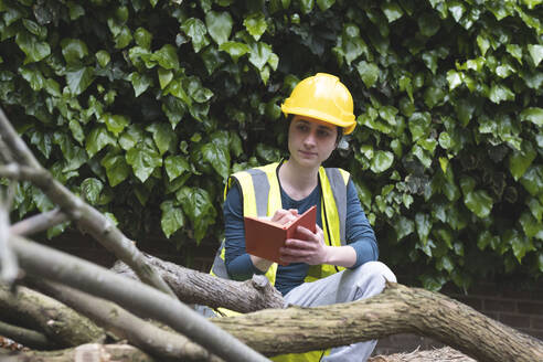 Arbeiter, der in sein Tagebuch schreibt und einen umgestürzten Baum betrachtet - AMWF01522