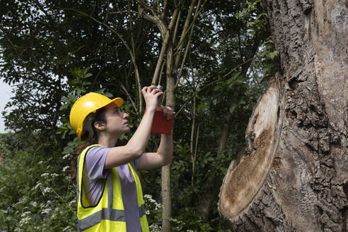 Arbeiter fotografiert beschädigten Baum mit seinem Smartphone im Wald - AMWF01532