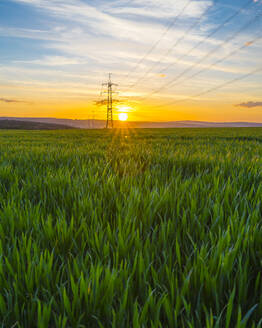 Germany, Hesse, Hunfelden, Electricity pylon in vast green field at summer sunset - MHF00717