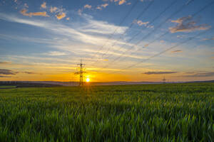 Germany, Hesse, Hunfelden, Electricity pylon in vast green field at summer sunset - MHF00718