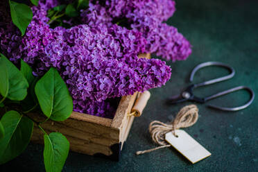 Front view of wooden box with fresh lilac flowers on blurred dark surface next to scissors and small cards - ADSF45248