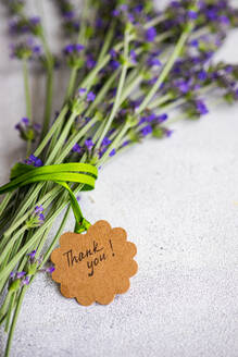 High angle of summer interior decor with fresh lavender flowers on the concrete background - ADSF45256