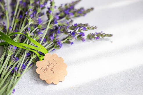 Front view of summer interior decor with fresh lavender flowers on the concrete background - ADSF45257