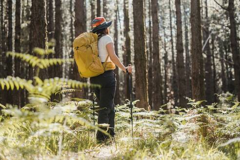 Back view of anonymous female hiker with backpack and trekking poles walking on pathway in forest with tall trees during hiking trip in Tenerife - ADSF45321