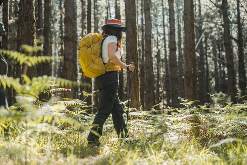 Side view of anonymous hiker with backpack and trekking poles walking on a path in the forest with tall trees during a hike in Tenerife - ADSF45324