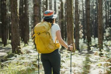 Back view of anonymous hiker with backpack and trekking poles walking on a path in the forest with tall trees during a hike in Tenerife - ADSF45325