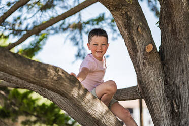 Side view of adorable smiling kid in casual clothes sitting on big tree branch in park during summertime while looking at camera and enjoying vacation - ADSF45340