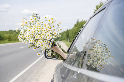 Hand of boy holding bunch of chamomile flowers out of car window - EYAF02700