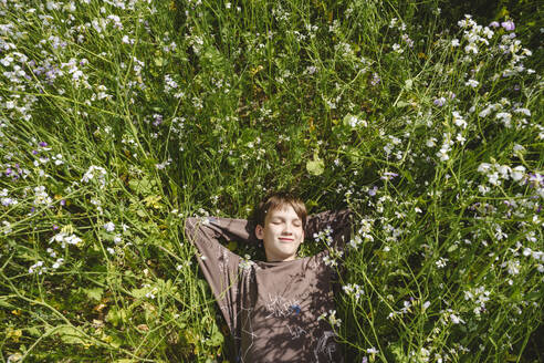 Smiling boy lying with hands behind head in rapeseed field - EYAF02701