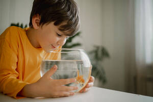 Smiling boy looking at fish in bowl at home - ANAF01770