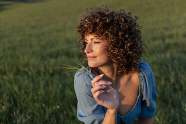 Thoughtful woman holding grass in meadow - LMCF00452