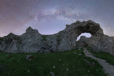 Front view of arched rocky formation near blooming flowers under starry night sky in Iceland - ADSF45550